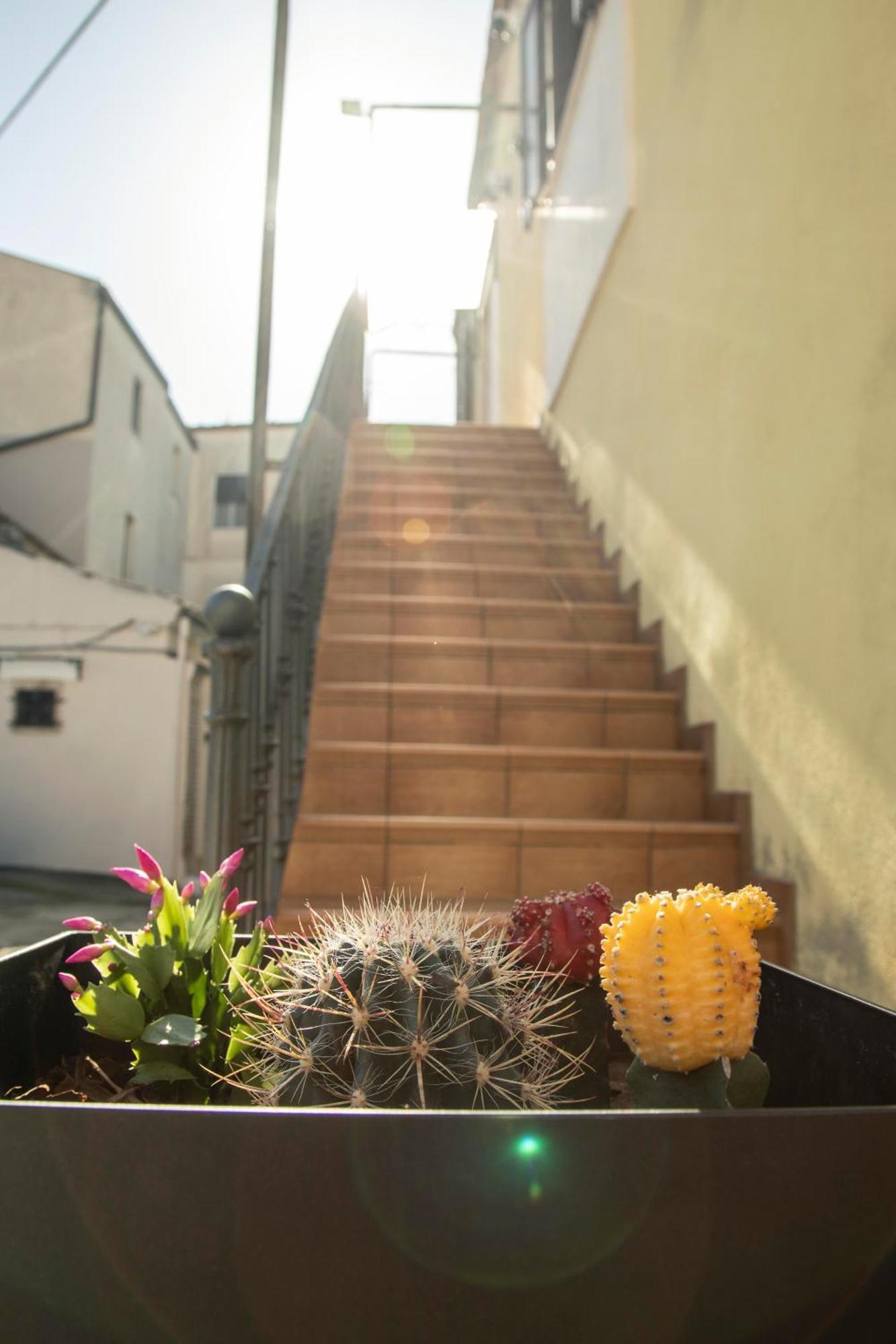 Dimora Camelia Apartment Lucera Exterior photo